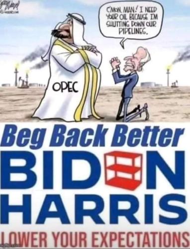 275465982_261184252878110_916410032355387853_n