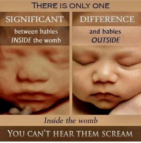 F99DB89D-F2D4-4738-892C-D092F75F74AD