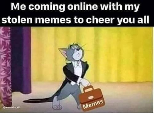 stolenmemes