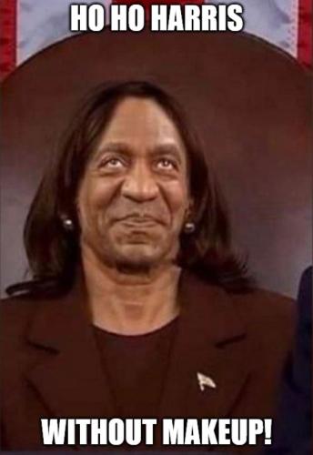 bidenhohowitoutmakeupwcap