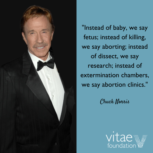 272315060_10158085251366792_6227184691884758437_n