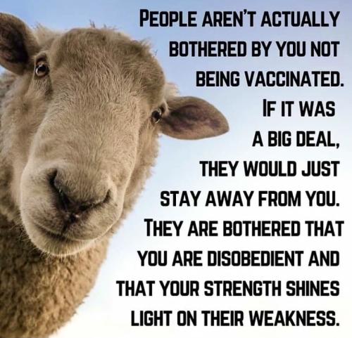 168098A4-E837-458E-8AF1-0724FF153E0D