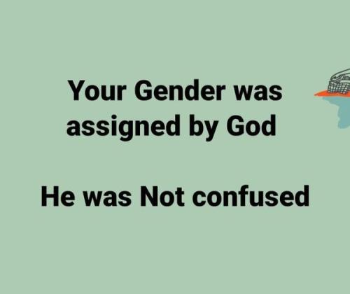 yourgender