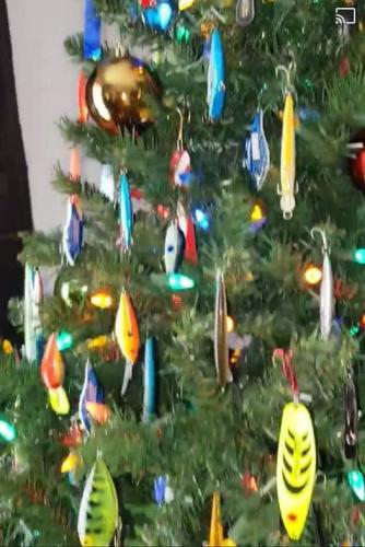 125866370_3504047702983585_3716793454914728412_n