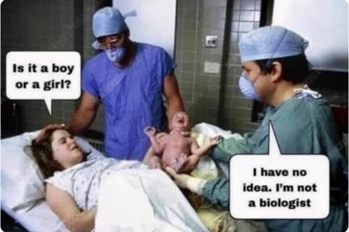 EF10755A-5803-4367-A957-6BB838CB07BD