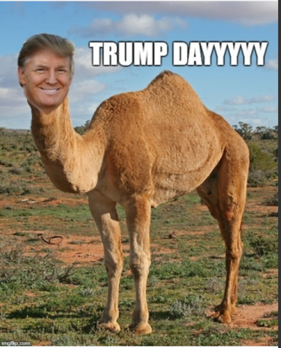 Screenshot_20220316-112208