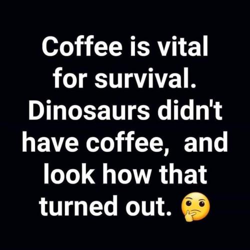 coffeesurvival