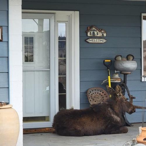 277176657_10222064233856130_7166155494232845316_n