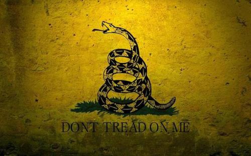 dont-tread-on-me-landofthefree