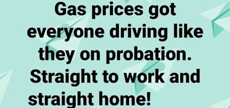 275493184_4900222600057793_7503792196703216763_n