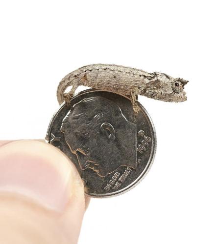 A89E298F-A0BE-4048-B70B-7FBD1D59832F