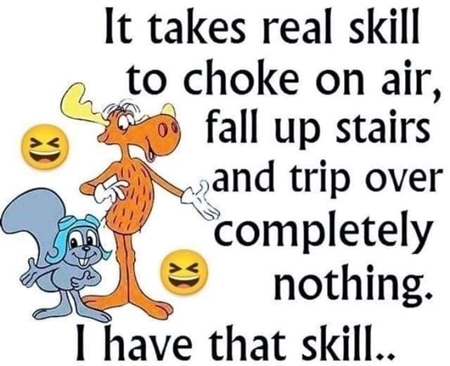 275503476_1431077360682748_1584211190109134004_n