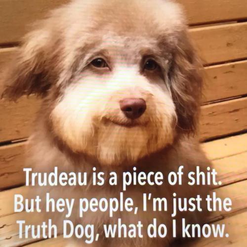 50DB9E43-C2E7-4FB2-9C6E-9B9CF207C11F