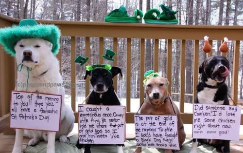St Paddy's Day