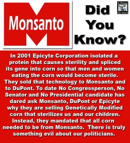 Monsanto sterile