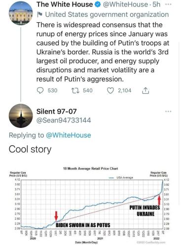 COOL STORY