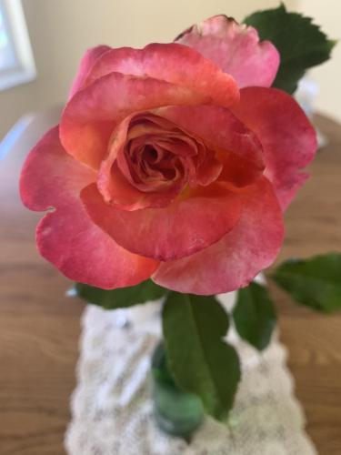 1A5EF9CE-F9BB-4CA4-B215-9650A3469911