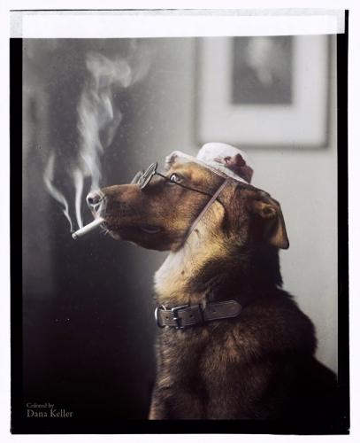 Smoking Dog 1923