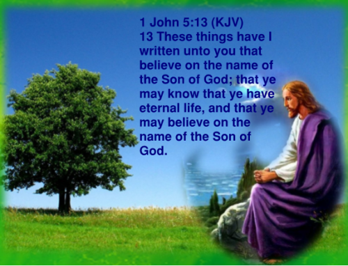 5 1 John 5.13