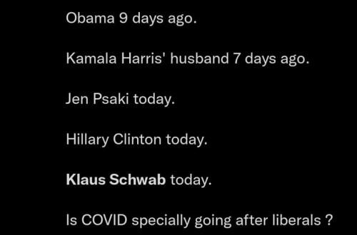 5f0ca290641676c621c382bbf0794530_500x0