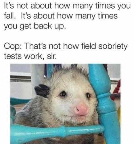 sobriety