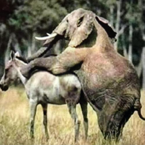 D4C722B4-E85F-415F-955A-8B132A2BB02E