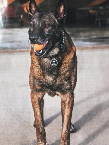 E75E29E9-EED2-4F7E-A3AB-9F7FADF16ADB