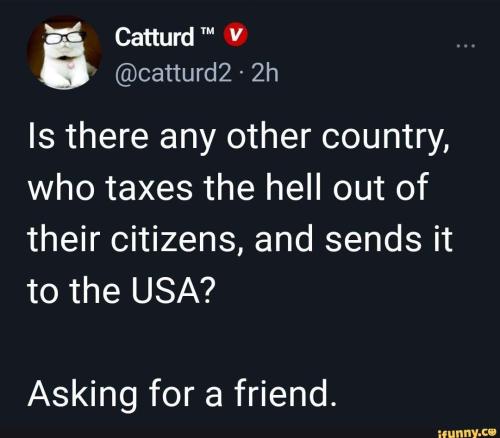 Catturd taxes