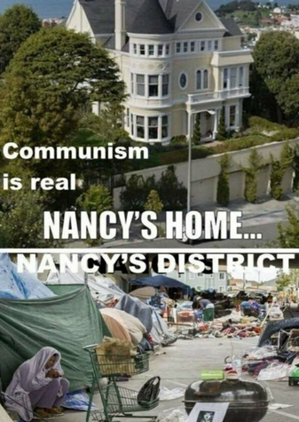 stupidsheeplevoteforher