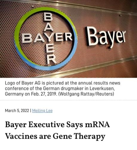 FB_IMG_1646670439290