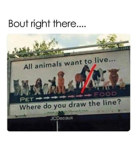 Eco-Nazi 13 - animals