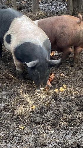 8E6AC284-5728-4165-A156-65D2AA75CFF7