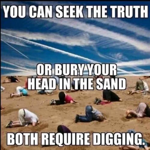 F3BBDBCE-CBD2-46E8-937B-C0EB4ACE8550