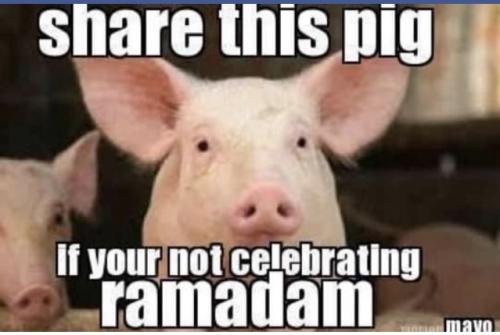 55B5144C-4888-406E-A69A-5A5C9516606D