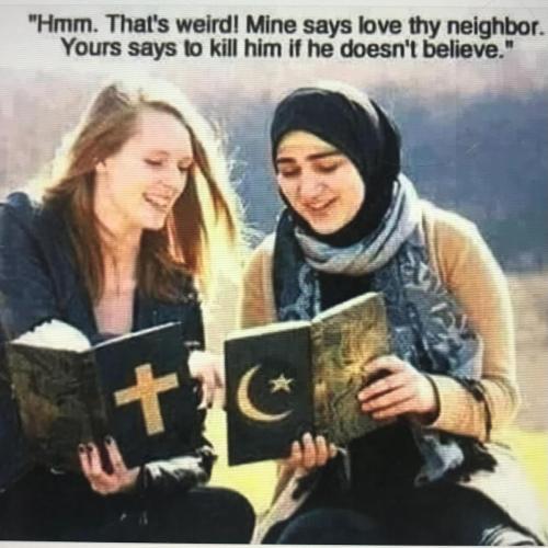 1303304F-BAA8-43CB-B94A-B434DC61E842