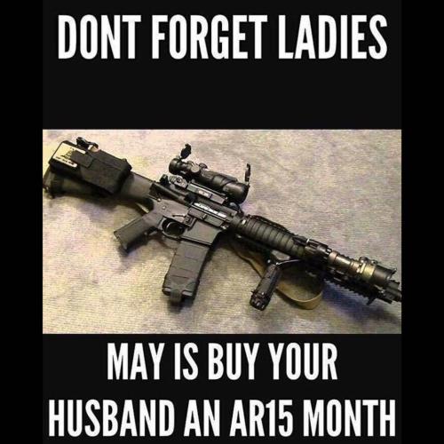 Guns287InMay