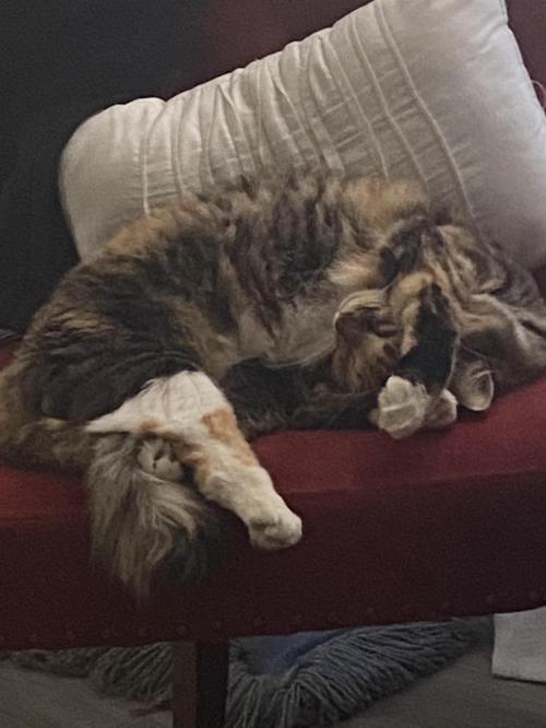 0B2DBC51-B657-40E5-91B2-7DD6408177BC