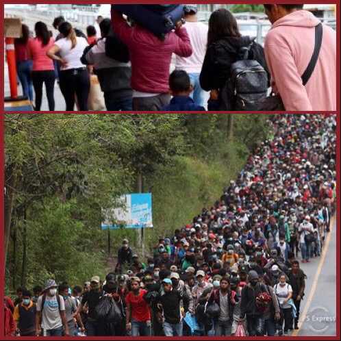 1B15EF37-0135-48AD-A000-5E4F6B8BF697