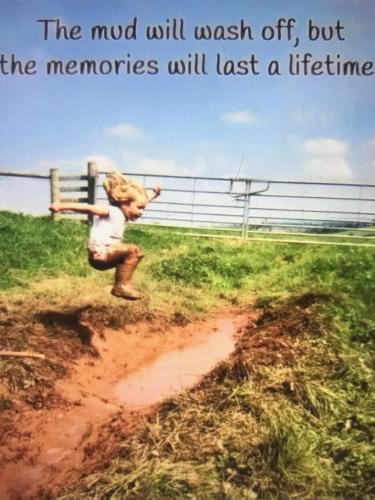 8F5A63CC-0CB8-44C7-A6B1-B95020212E3A