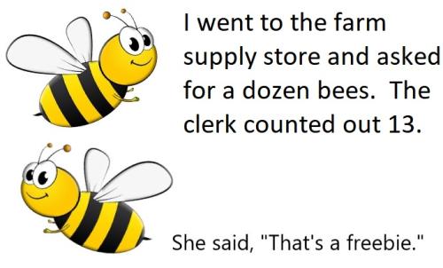 20220322 Free bee