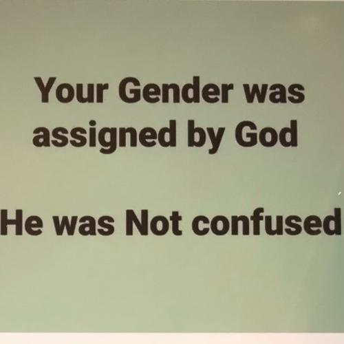 31C3FA67-4BF6-408B-AB89-70970E7A40B2