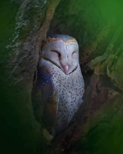 5AFDC302-B91B-4D42-BDE3-D3556F53D14A