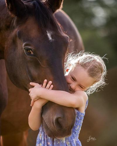 81C3D23D-CAEE-4542-B9FC-47F7F0F2F62B