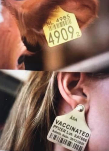 6D306080-62AA-4EFF-A2BB-A42FDC8B39AC