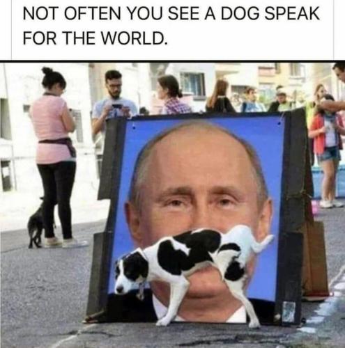 E57C60E8-8F92-4836-A49A-96DF85DAA3E1