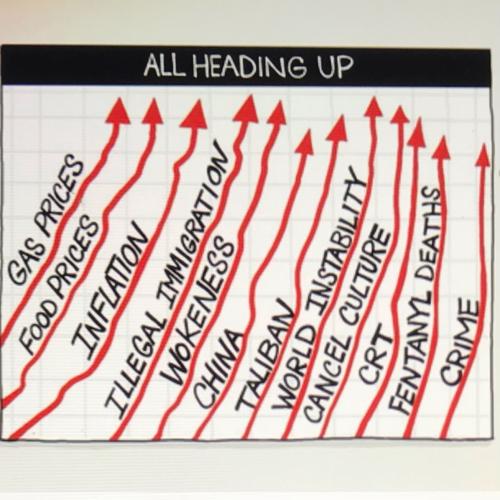 F1C4E9D3-9423-4CBE-A036-C1EC54D51E74