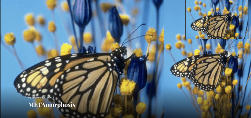 Screen Shot 2022-03-29 at 3.39.16 AM