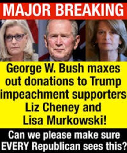 Bush appeared from the bush