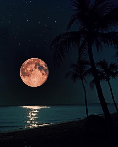 B4A8C4A2-1846-489E-A04A-49E46BA28469