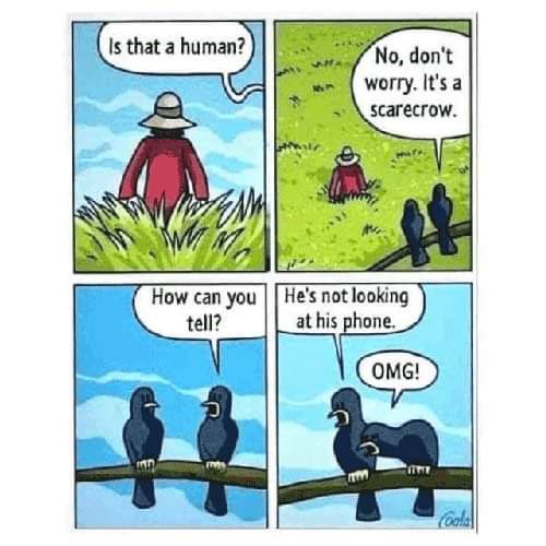 FB_IMG_1647873070610